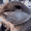 :gasp: