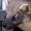 :martenwink: