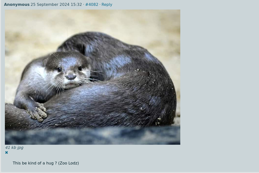 An expanded attached file